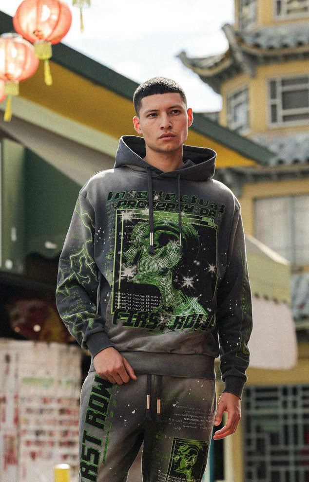INTELLECTUAL PROPERTY WASHED HOODIE