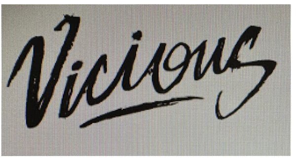 Vicious Denim | Statement Streetwear Jeans