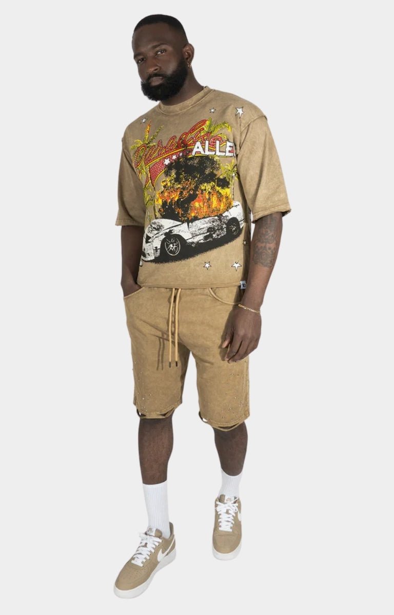 Frost Motion Sick Cropped Tee - Brown